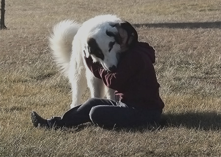 person sitting on the ground hugging a large white dog